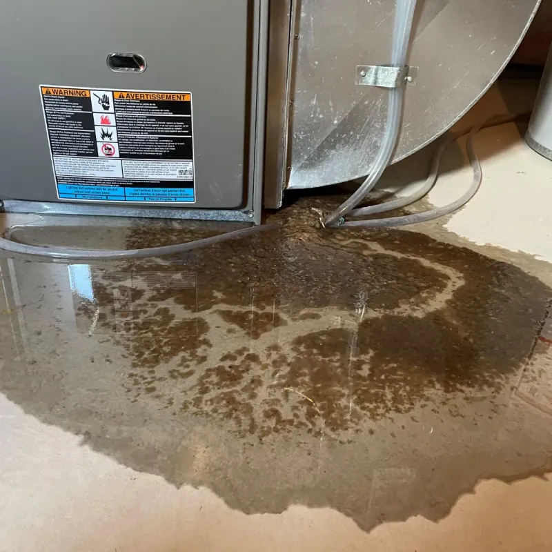 Appliance Leak Cleanup in Long Beach, NC